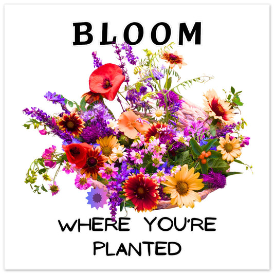 18bde5c4-8a89-4d40-89ce-60f4006542d1