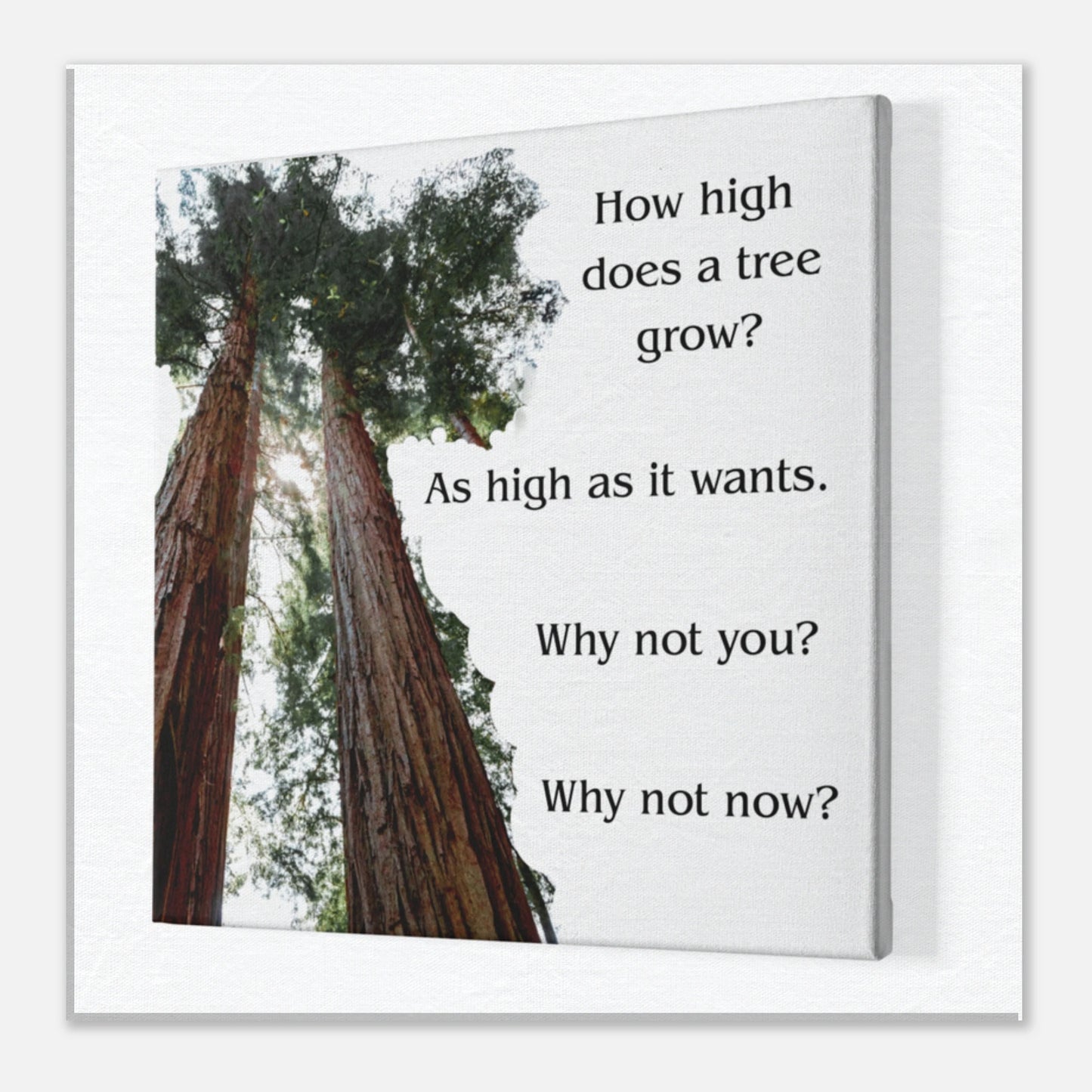 2572b43d-9423-4660-83a2-9f54b886663b