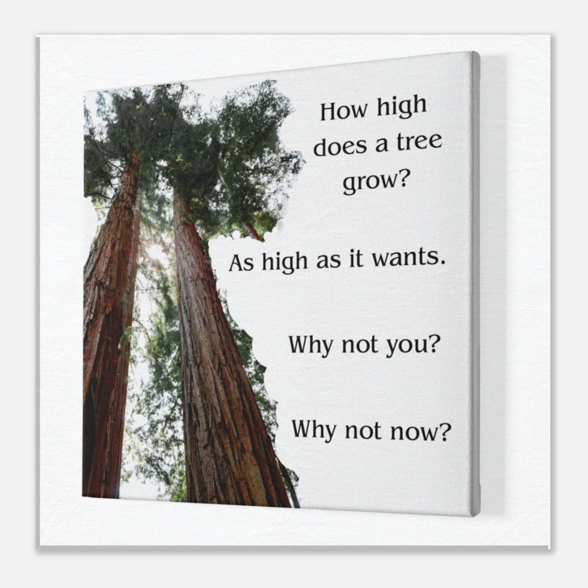 2572b43d-9423-4660-83a2-9f54b886663b