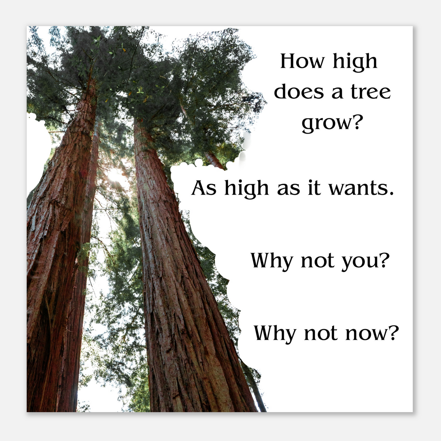 296833a1-f042-420a-adc3-6a094a19727e