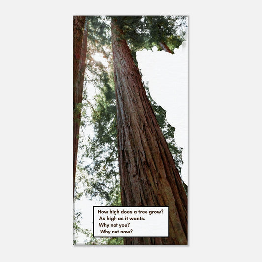 3182babb-a72d-4f4d-a7d0-dca377f484a5