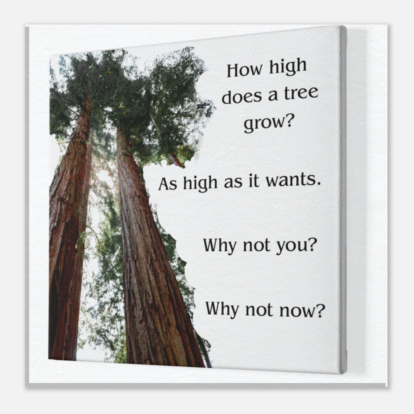 4543e8fe-b21c-491d-baf1-33c0fed95bcf