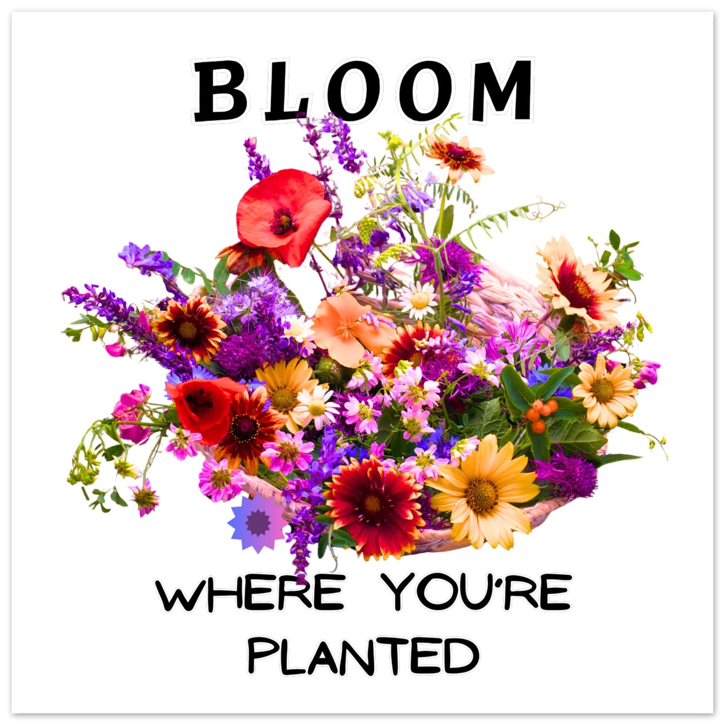 59ac18ac-db67-4f8b-a25a-6b3b7df43663