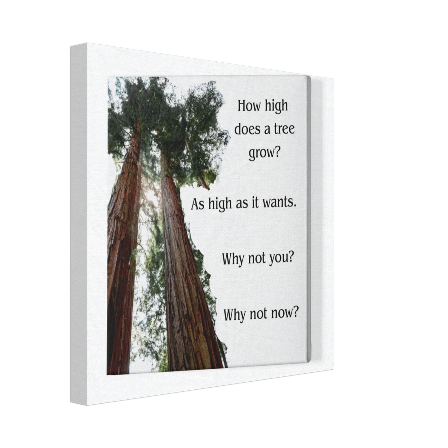 8f128827-bae3-4c2d-bebf-3353ba0d53d4