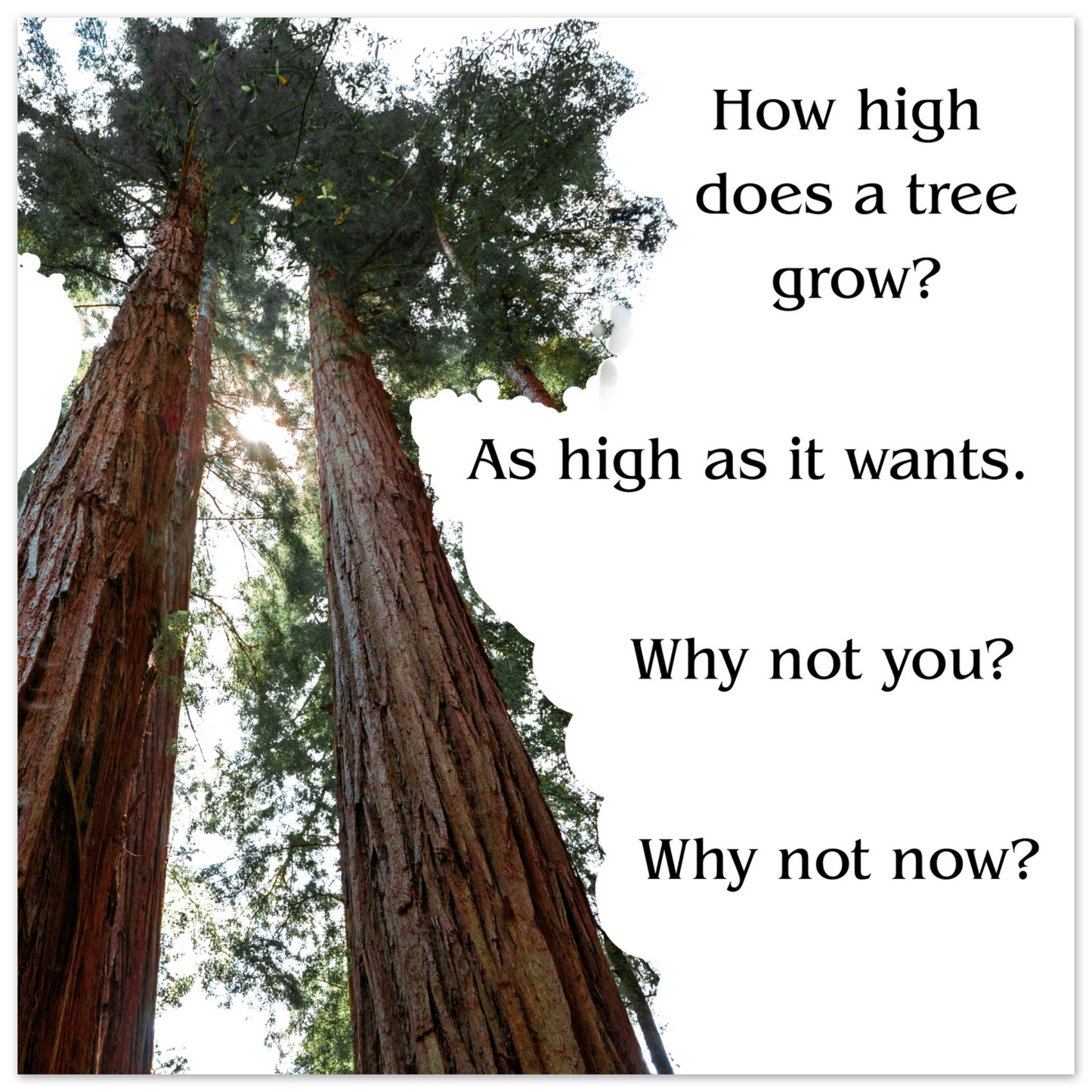 be45dda9-99db-454c-8046-a3206bde0240